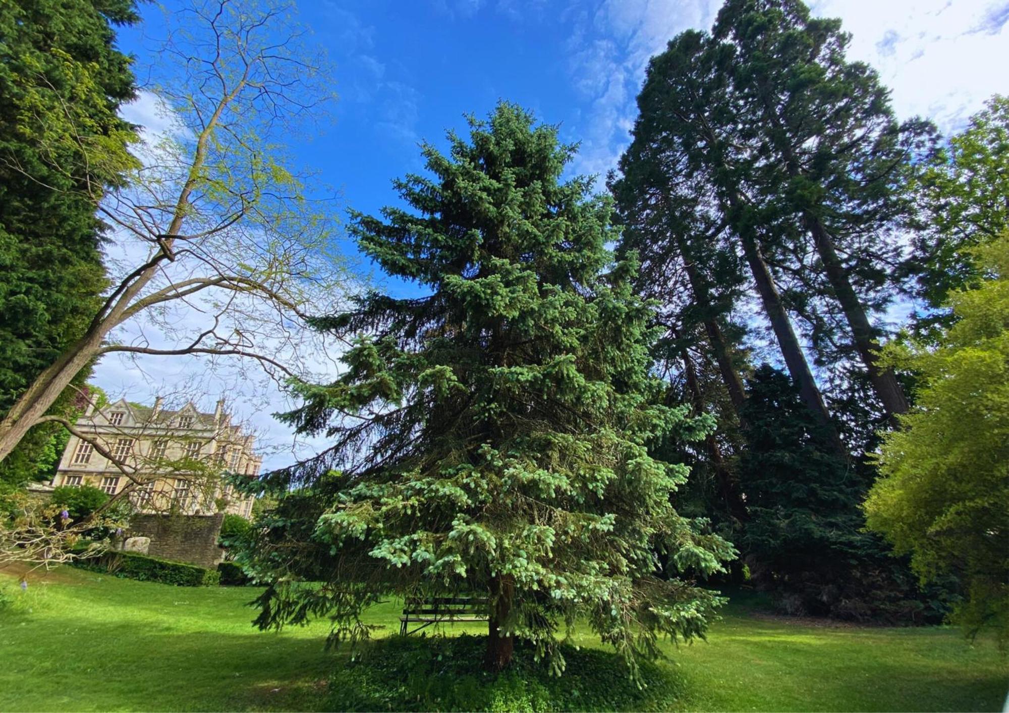 The Hall - Historic Grade I-Listed Jacobean Mansion Bradford-On-Avon Luaran gambar